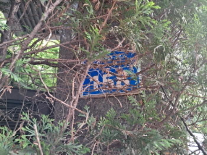 한강 뷰 아파트 지분 경매, 지금이 기회!